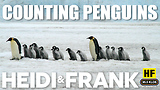 Counting Penguins